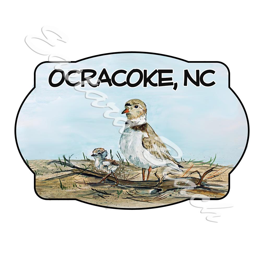 Ocracoke - Shorebird Scene