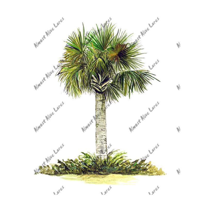Palm Tree - Printed Vinyl Decal - Click Image to Close