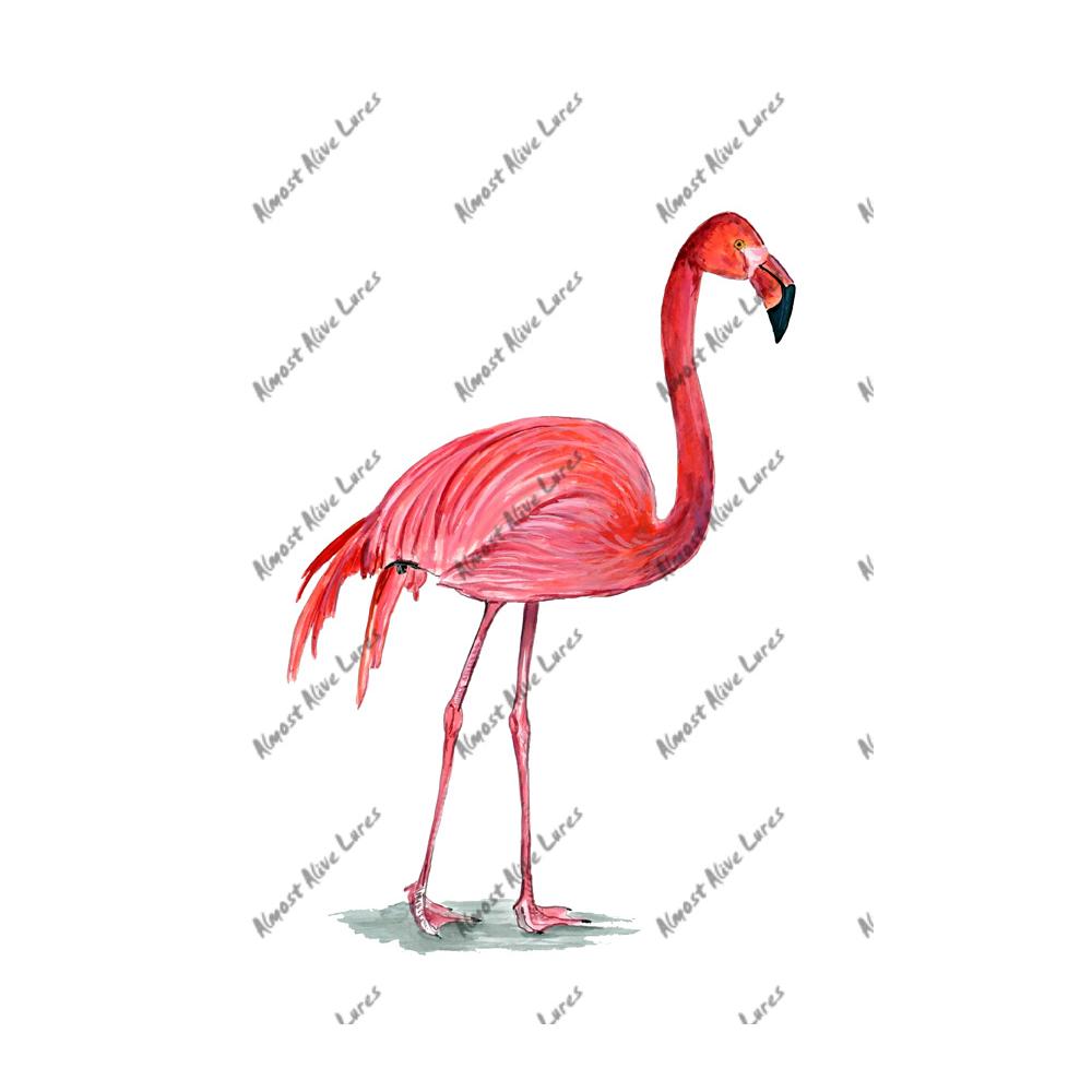Pink Flamingo - Printed Vinyl Decal
