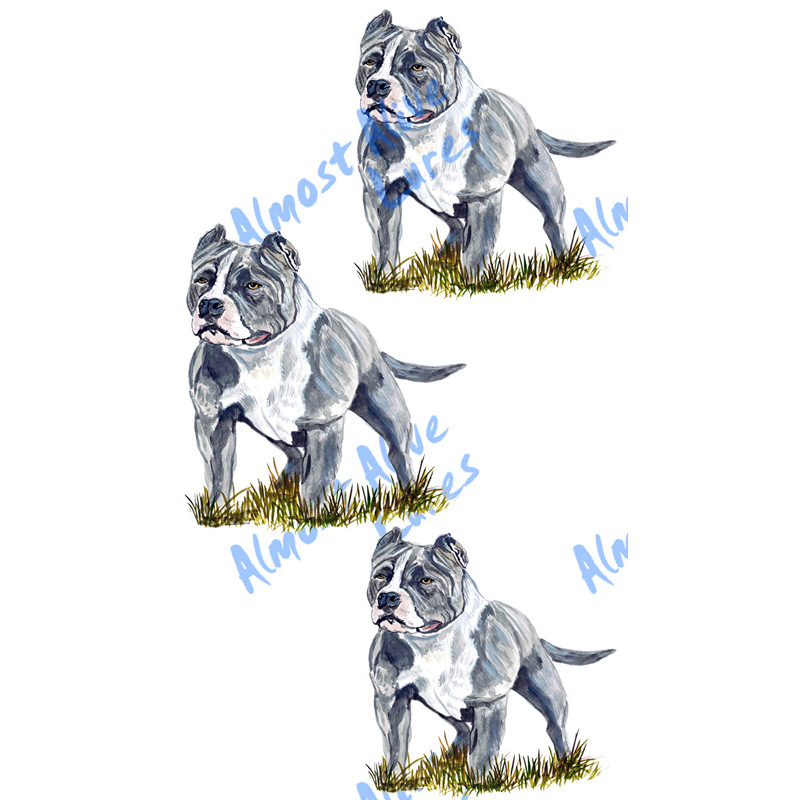 Pit Bull - Minis Set of 3 Printed Vinyl Decals - Click Image to Close