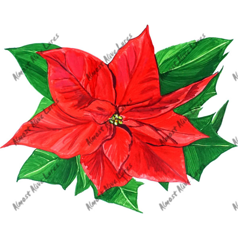 Poinsetia - Printed Vinyl Decal - Click Image to Close