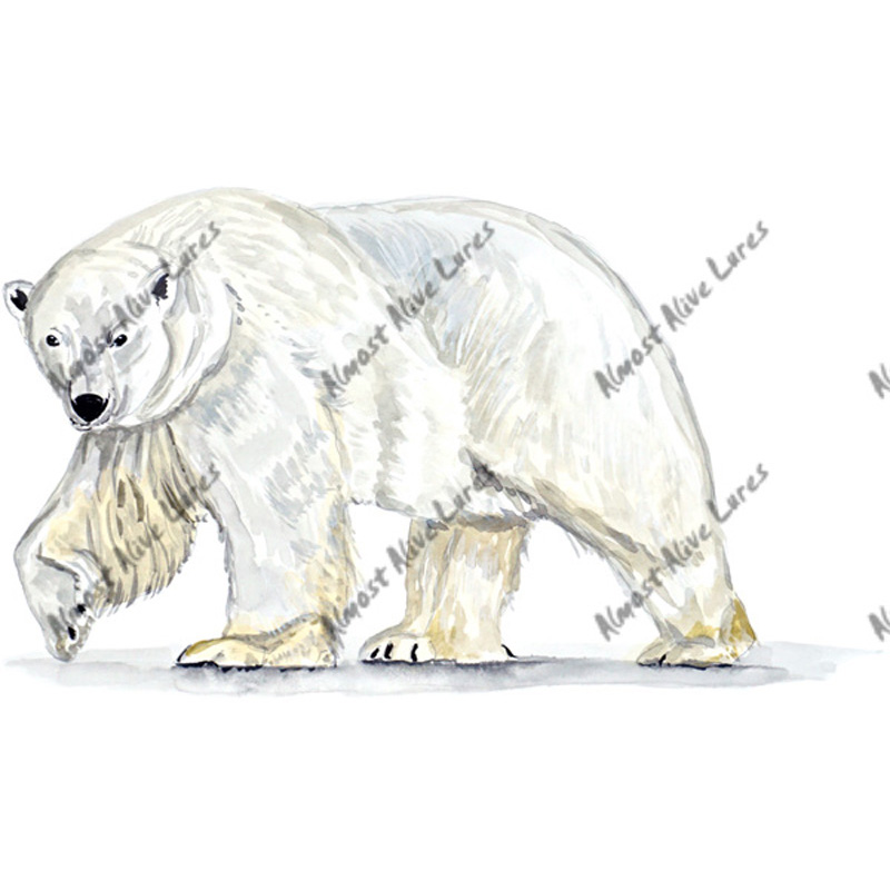 Polar Bear - Printed Vinyl Decal