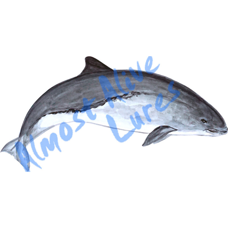 Porpoise - Printed Vinyl Decal - Click Image to Close