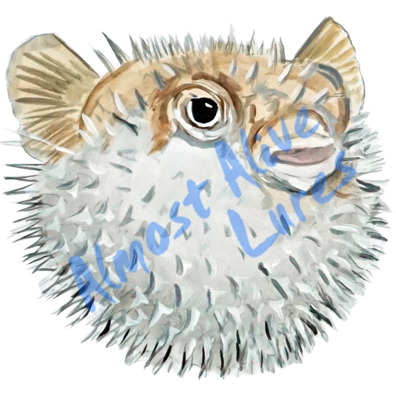 Puffer Fish - Printed Vinyl Decal - Click Image to Close