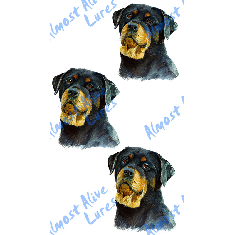Rottweiler - Minis Set of 3 Printed Vinyl Decals - Click Image to Close