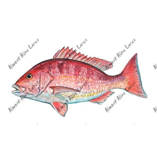 Red Snapper - Printed Vinyl Decal - Click Image to Close