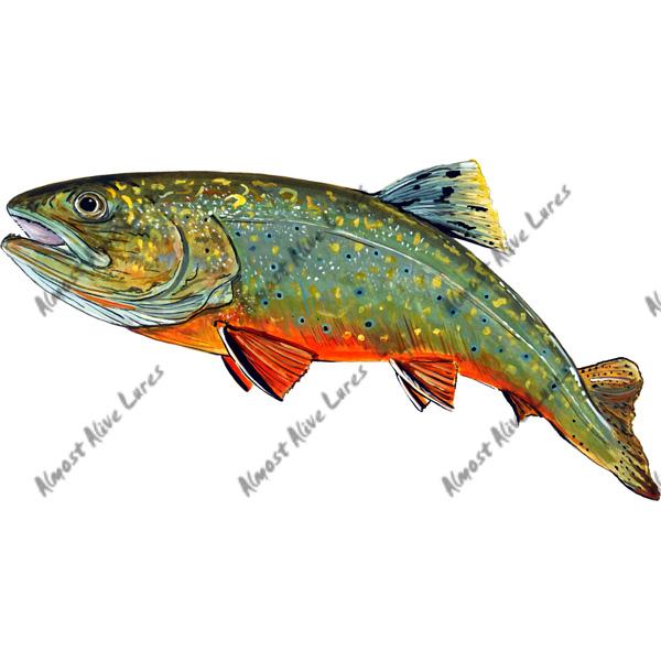 Brook Trout - Printed Vinyl Decal - Click Image to Close
