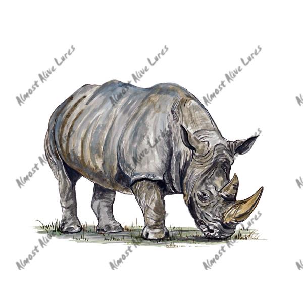Rhinoceros - Printed Vinyl Decal