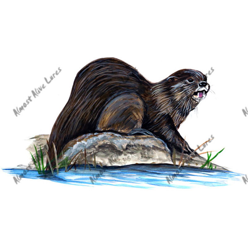 River Otter - Printed Vinyl Decal - Click Image to Close