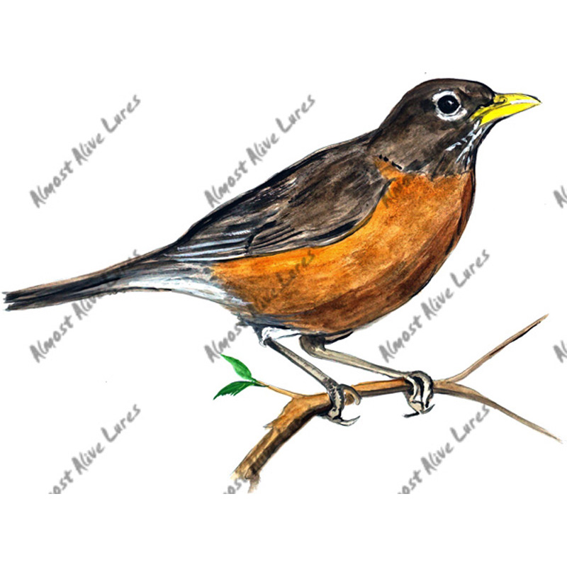 Robin Vinyl Decal - Click Image to Close