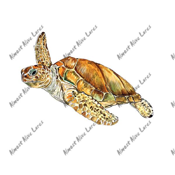 Loggerhead Sea Turtle - Printed Vinyl Decal - Click Image to Close