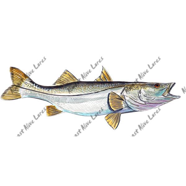 Snook - Printed Vinyl Decal - Click Image to Close