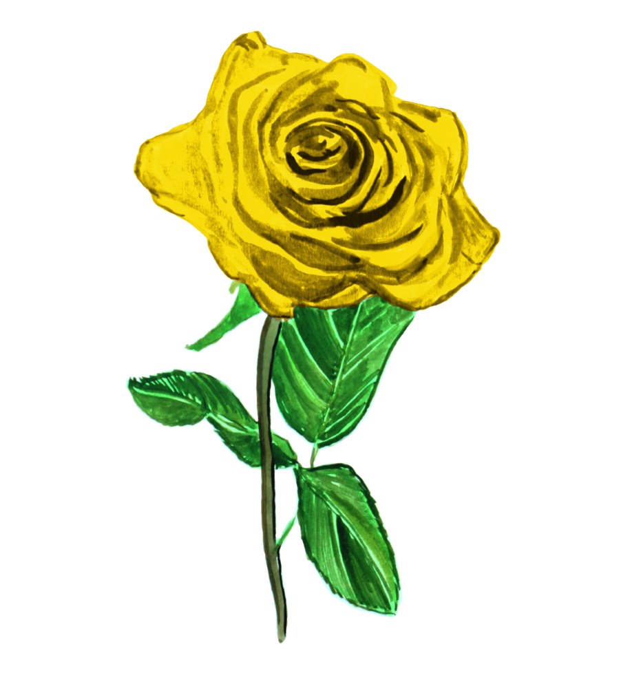 Yellow Rose - Click Image to Close