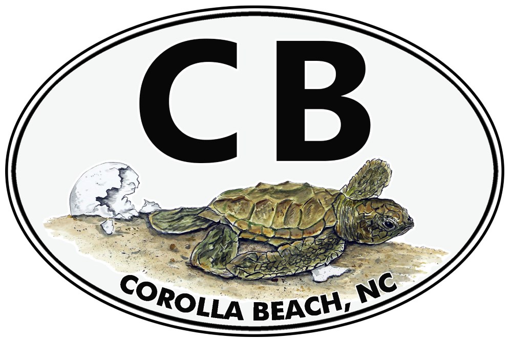 CB - Corolla Beach - Sea Turtle - Click Image to Close