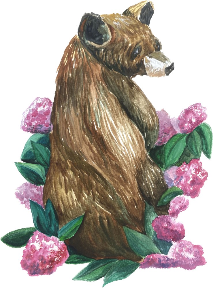 Bear with Pink Flowers - Click Image to Close