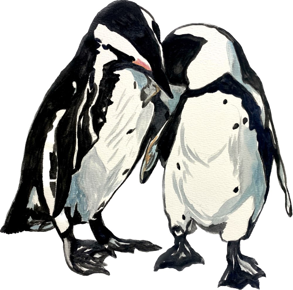 Penguin Pair - Click Image to Close