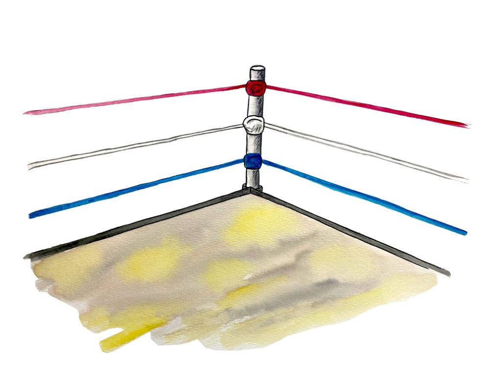 Boxing Ring - Click Image to Close