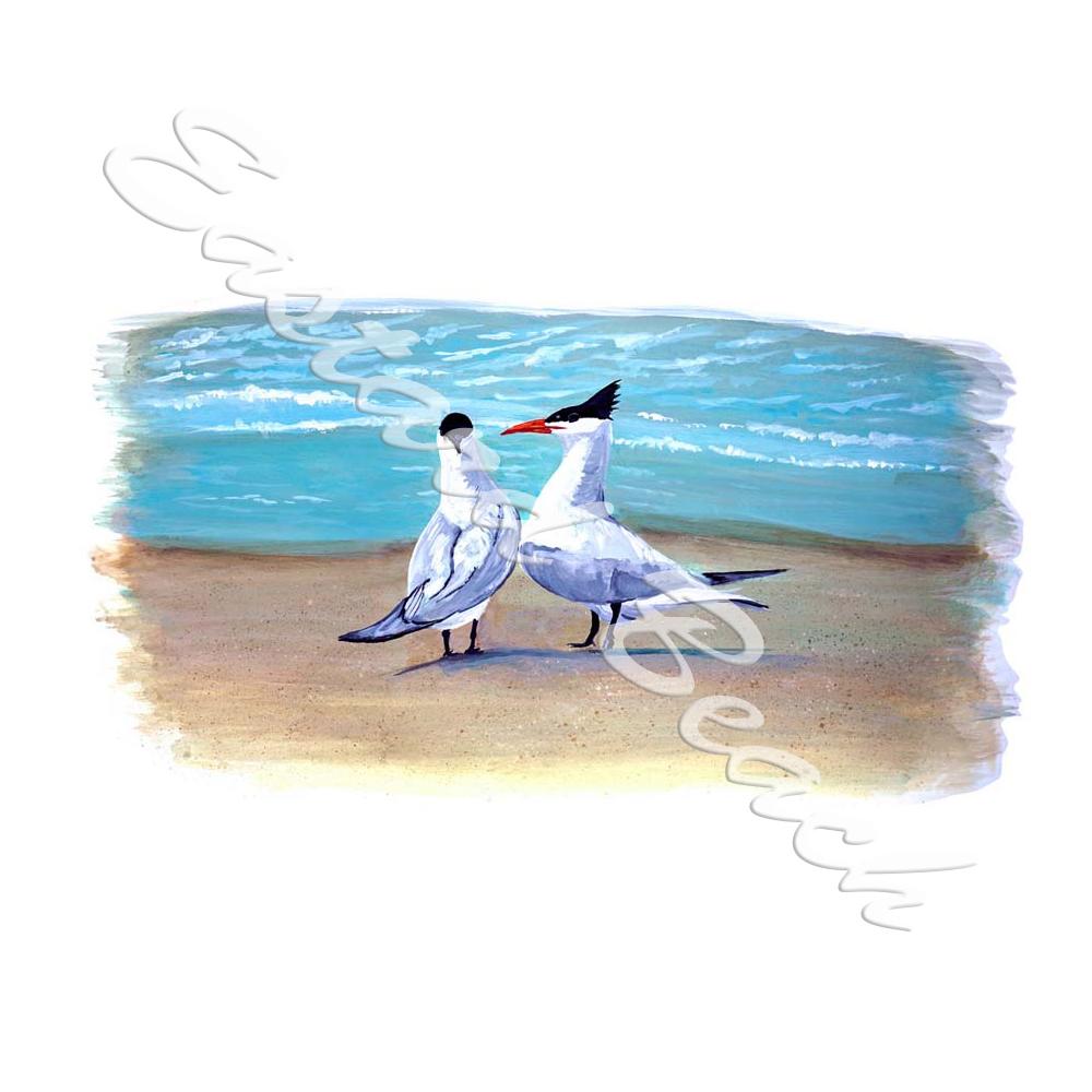 Tern Seabirds - Printed Vinyl Decal - Click Image to Close