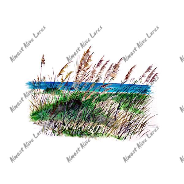 Sea Grass Surf - Printed Vinyl Decal - Click Image to Close