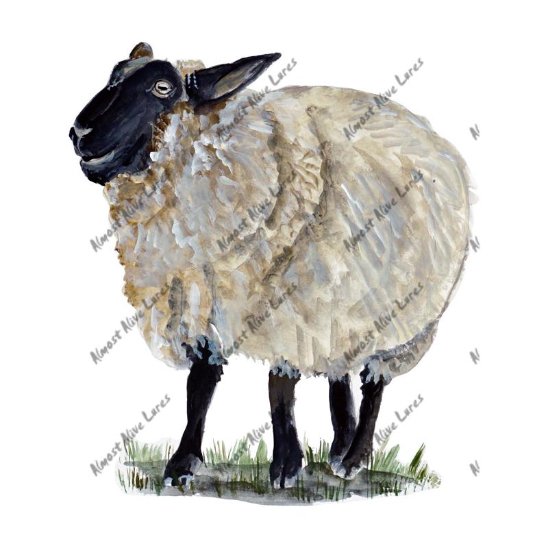 Suffolk Sheep - Printed Vinyl Decal - Click Image to Close