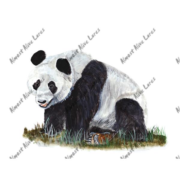 Panda Bear - Printed Vinyl Decal