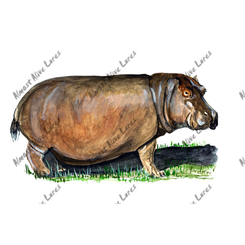 Hippopotamus - Printed Vinyl Decal - Click Image to Close