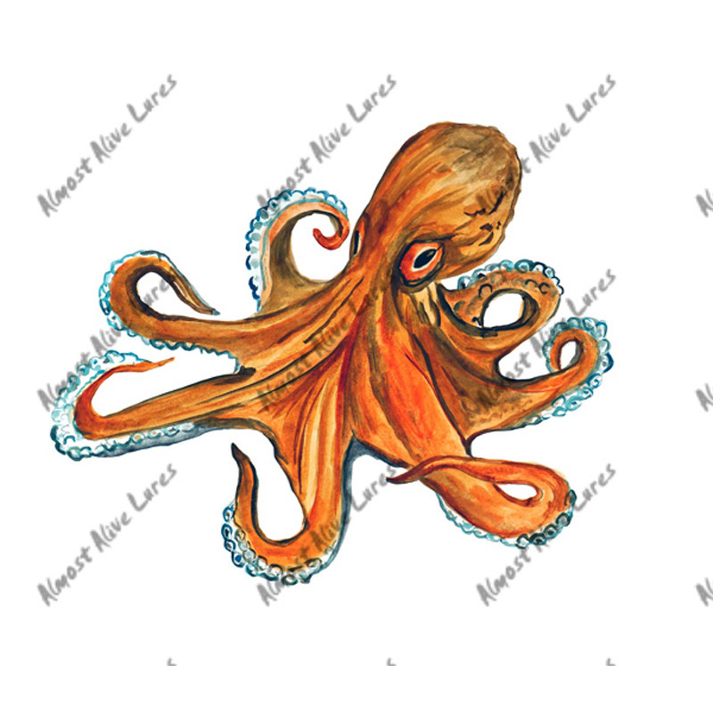 Octopus Squid - Printed Vinyl Decal - Click Image to Close
