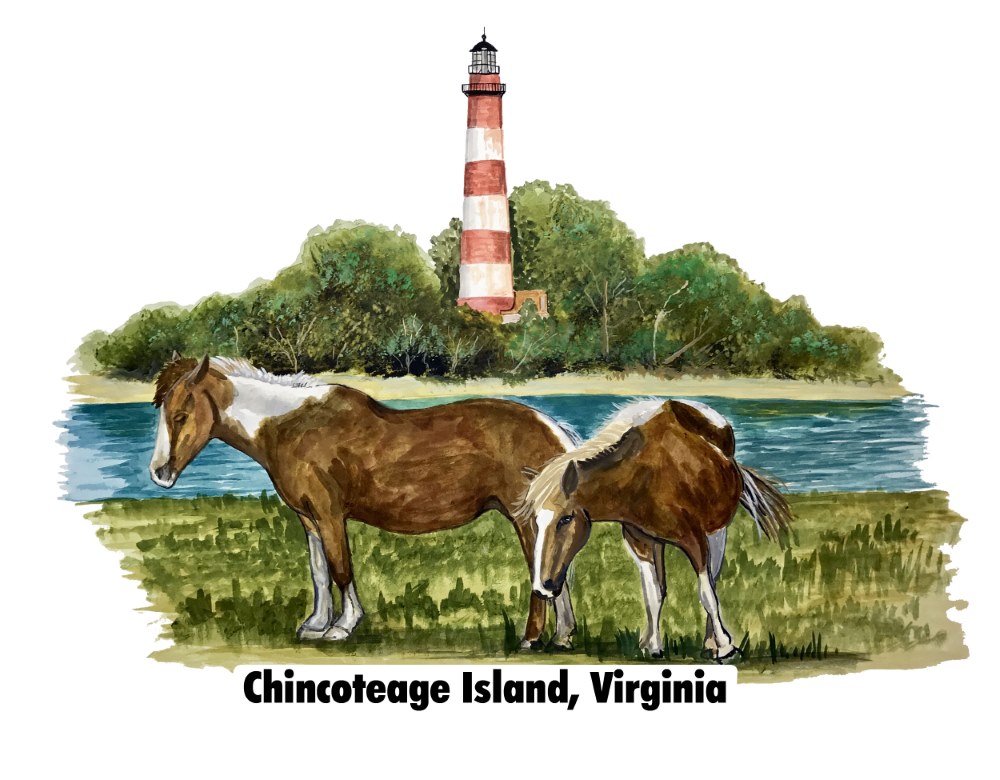 Chincoteague Ponies and Light w/name