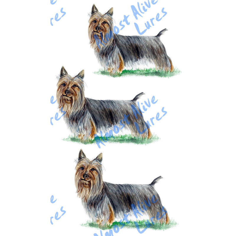 Silky Terrier - Minis Set of 3 Printed Vinyl Decals - Click Image to Close
