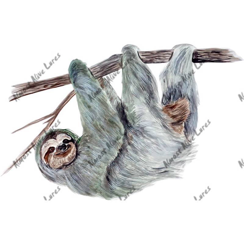 Sloth - Printed Vinyl Decal - Click Image to Close