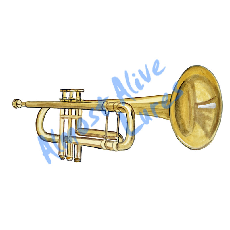 Trumpet - Printed Vinyl Decal - Click Image to Close