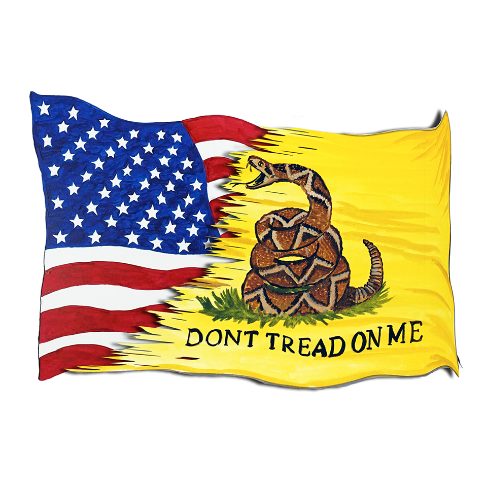 USA and Gadsden Flag - Click Image to Close