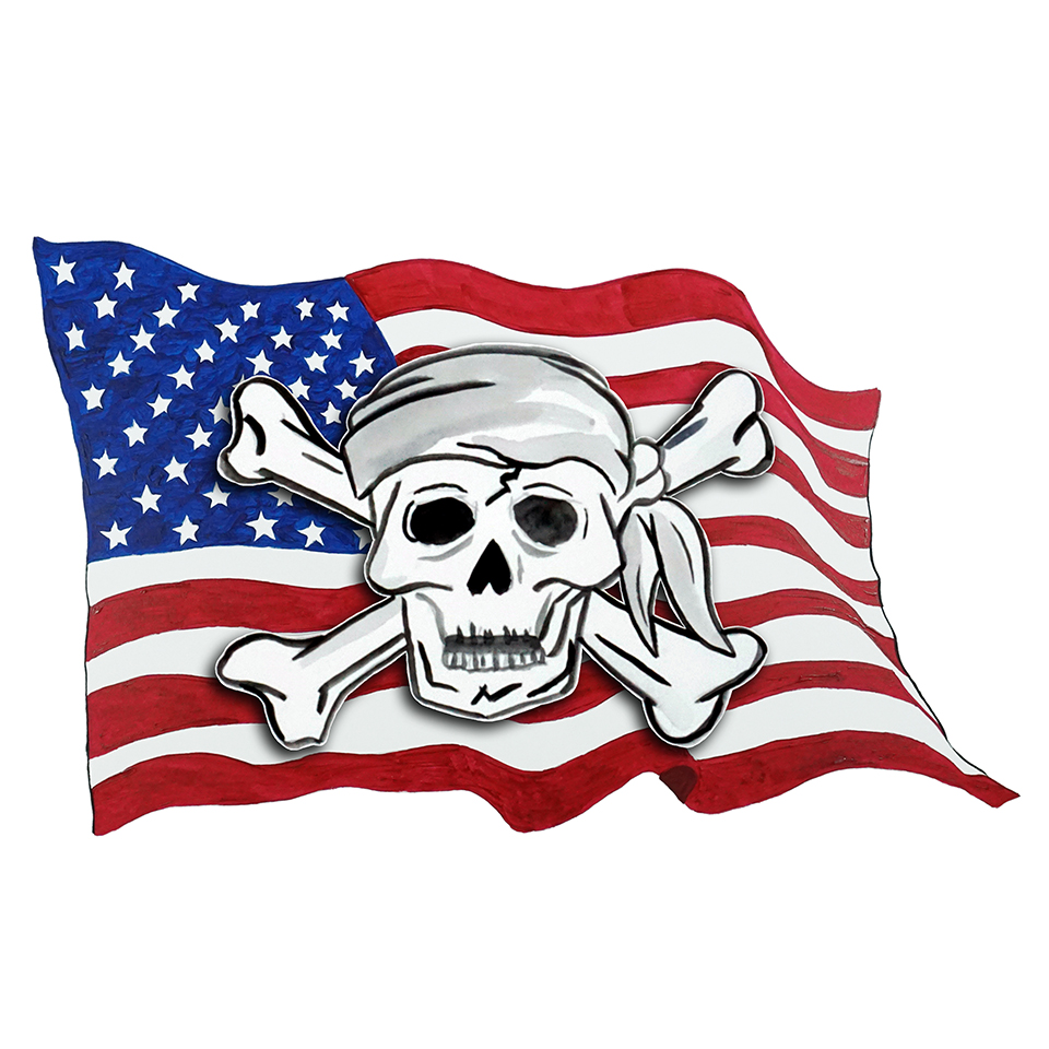 USA Flag- Pirate Skull Crossbones 2