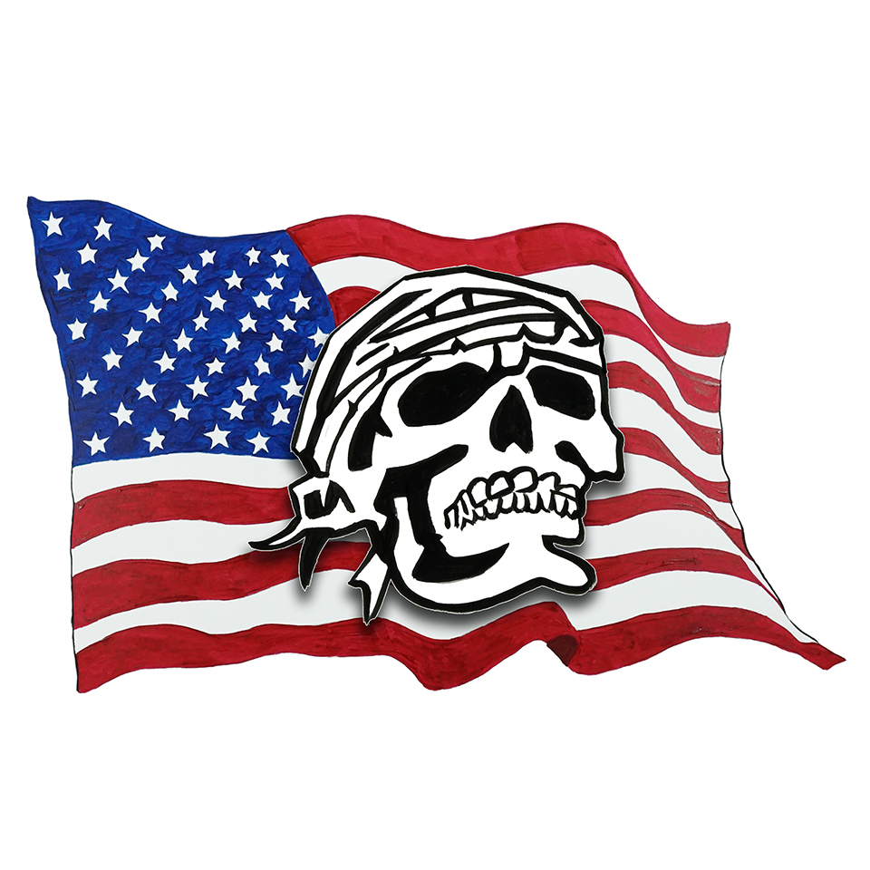 USA Flag- Pirate Skull - Click Image to Close