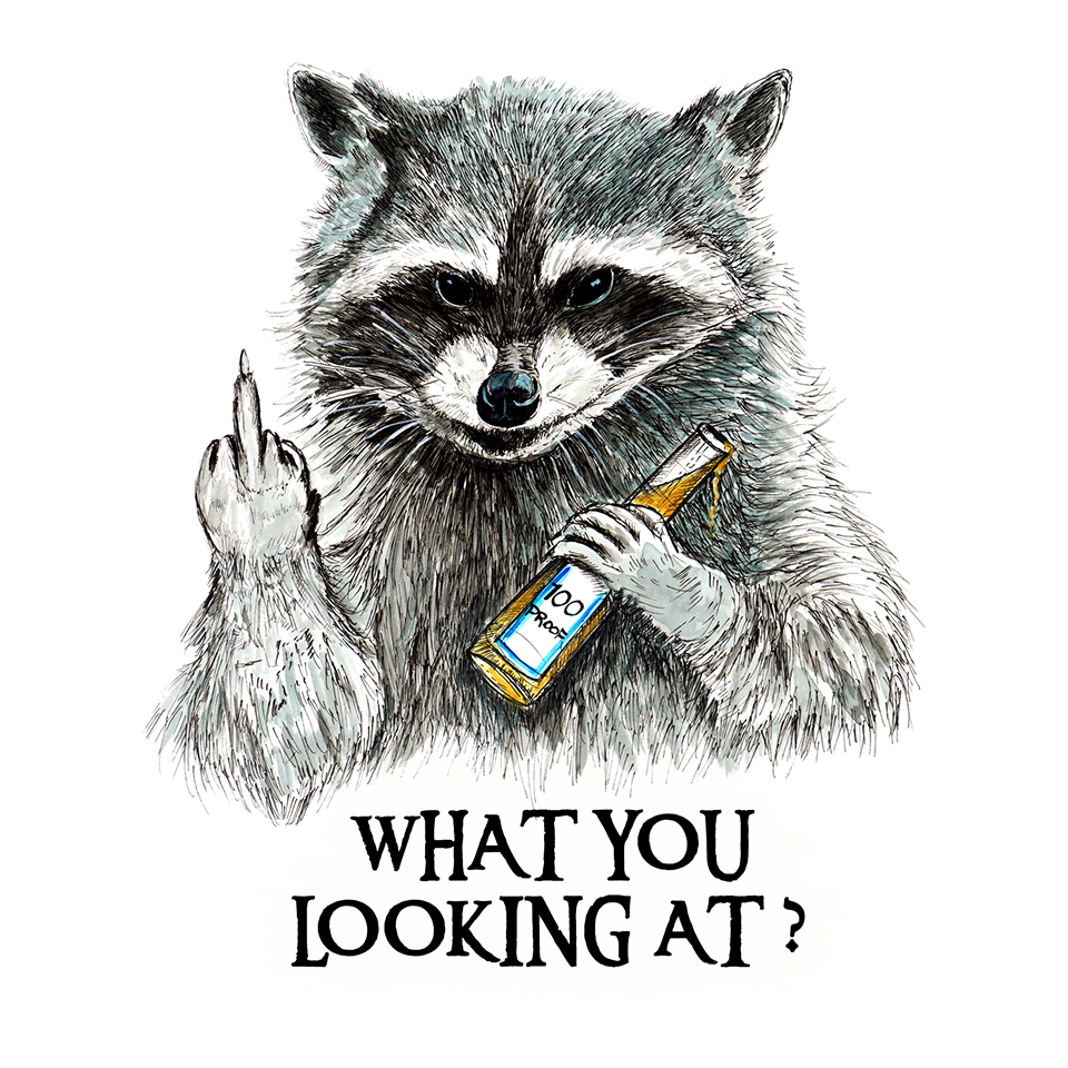 "What You Looking At"- Raccoon - Click Image to Close