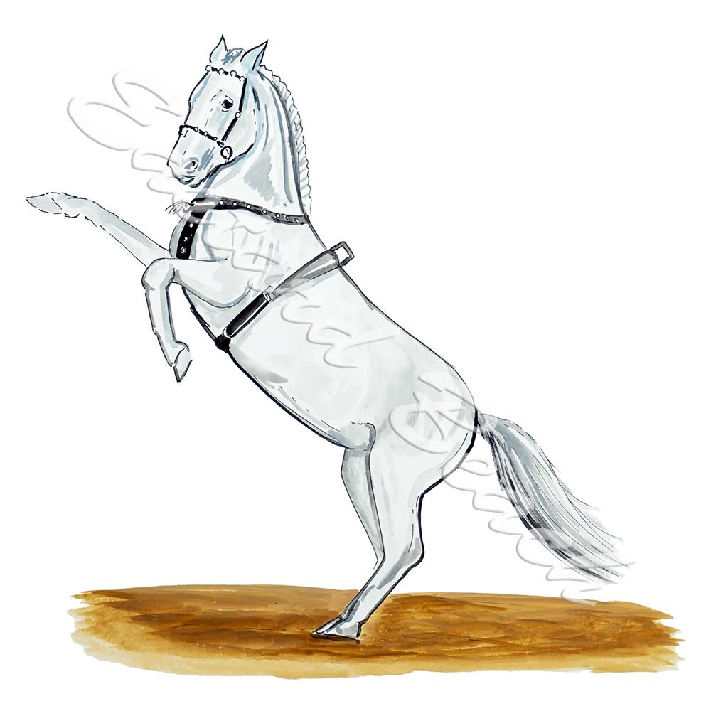 White Snow Horse - Click Image to Close