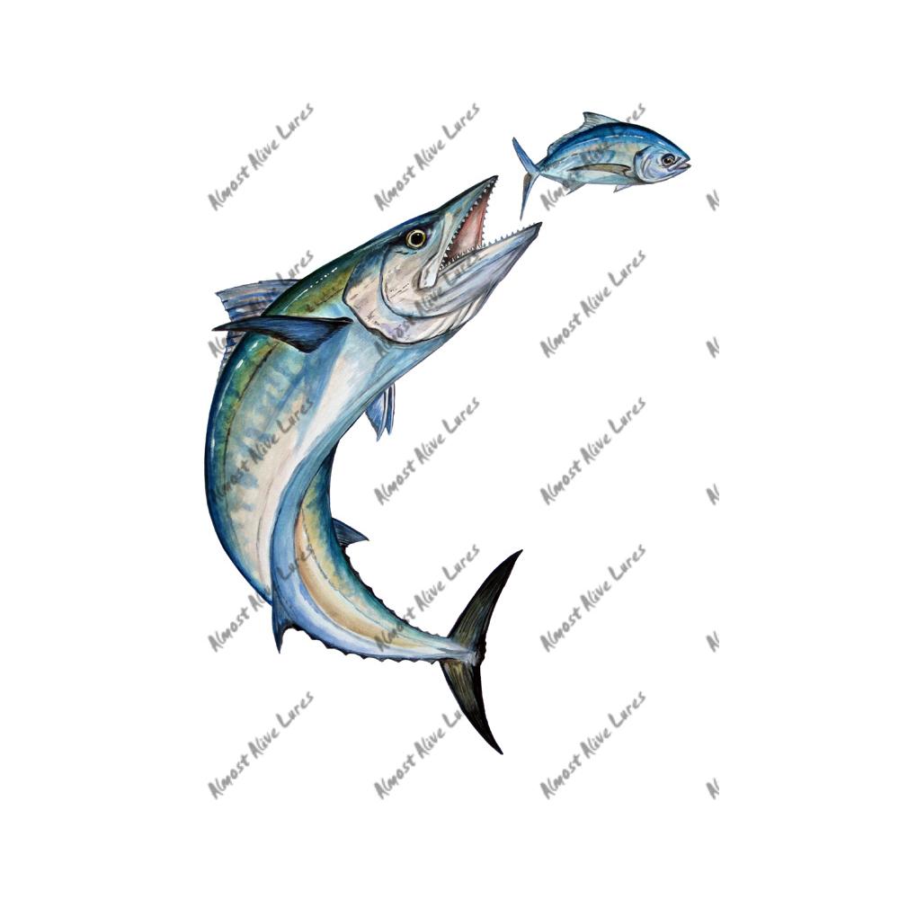 King Mackerel & Tuna - Printed Vinyl Decal - Click Image to Close