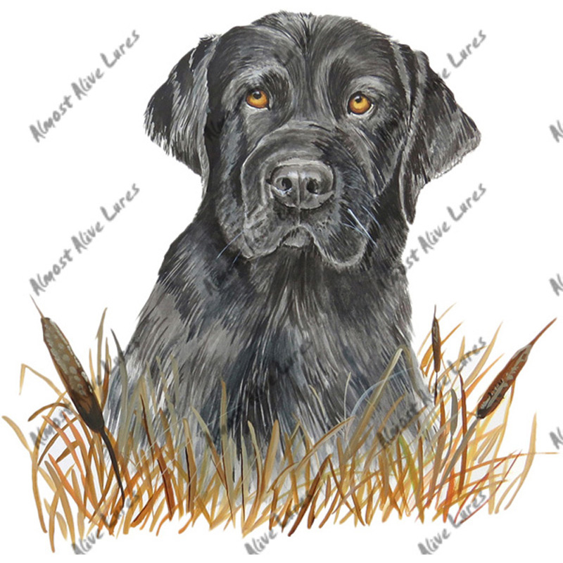 Black Lab Labrador Retriever - Printed Vinyl Decal - Click Image to Close