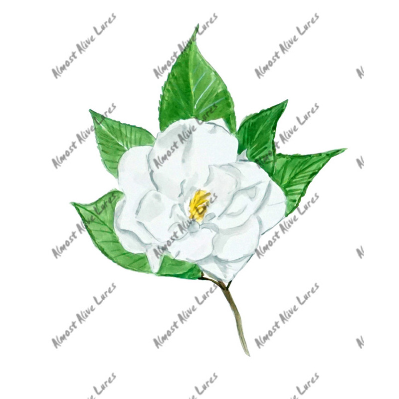 Carnation - Printed Vinyl Decal - Click Image to Close