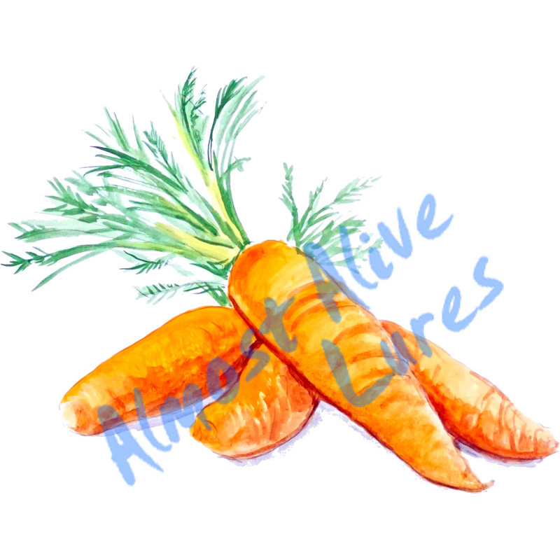 Carrots - Printed Vinyl Decal - Click Image to Close