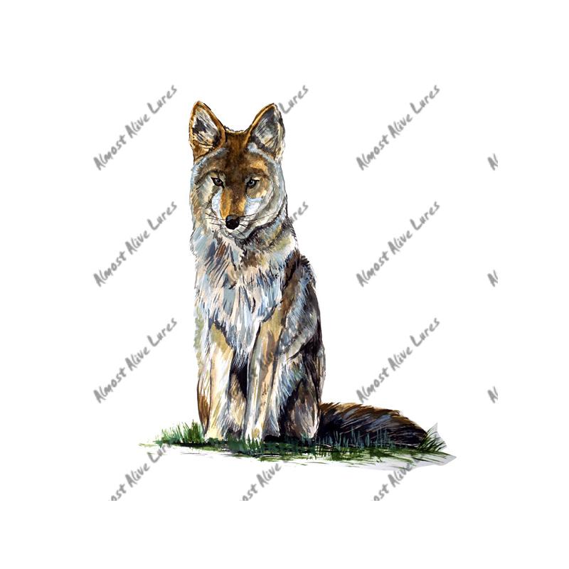 Coyote - Printed Vinyl Decal - Click Image to Close