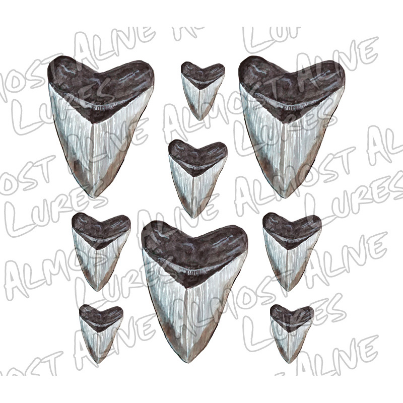 Printed Megalodon Shark-Teeth Decals