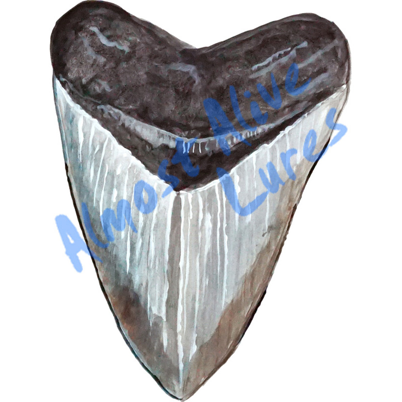 Megladon Shark Tooth - Printed Vinyl Decal