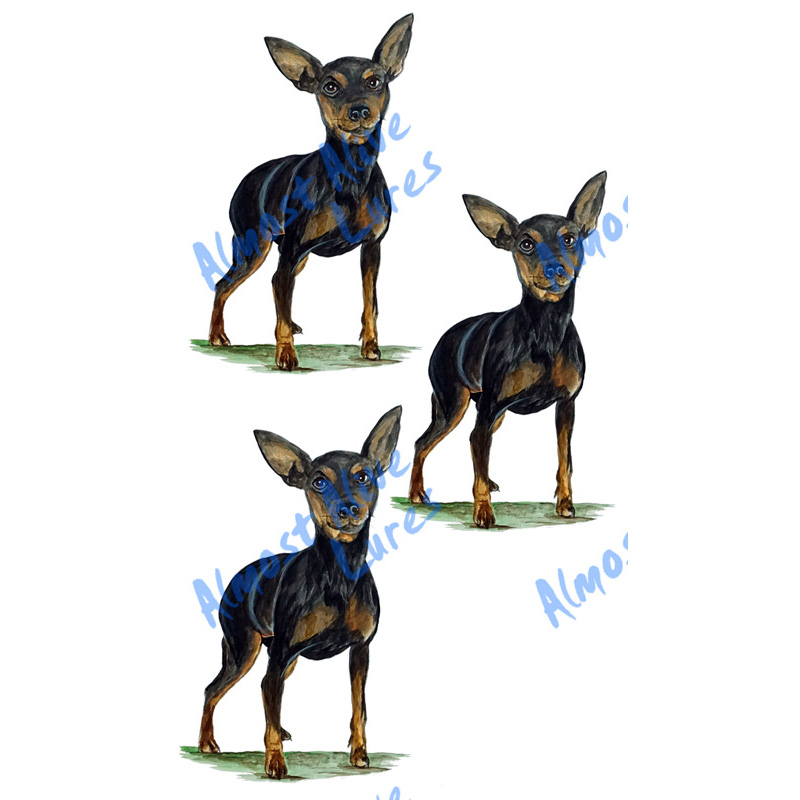 Min Pin - Minis Set of 3 Printed Vinyl Decals - Click Image to Close