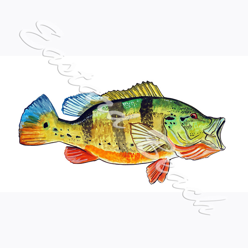 Peacock Bass Monster Fish Keeper Sticker for Sale by JRRTs