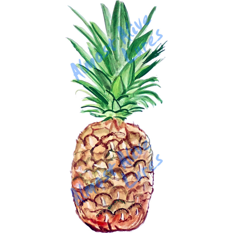 Pineapple - Printed Vinyl Decal - Click Image to Close