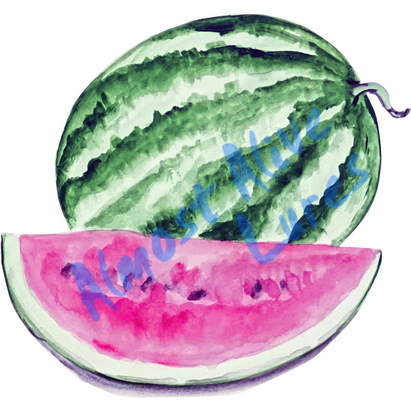 Watermelon - Printed Vinyl Decal - Click Image to Close