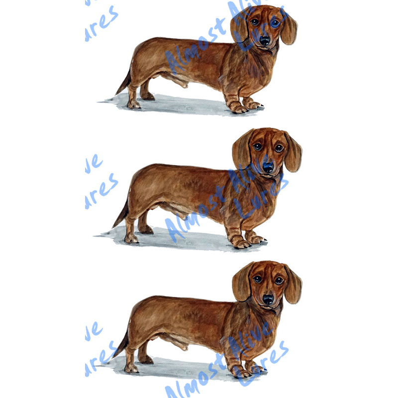 Dachshund - Minis Set of 3 Printed Vinyl Decals - Click Image to Close