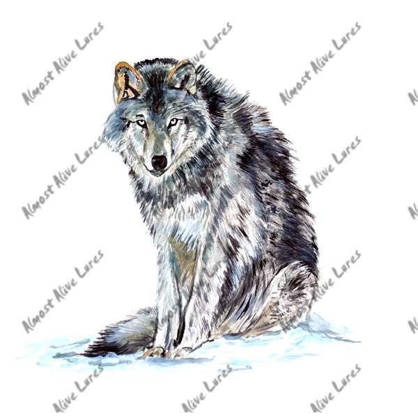 Wolf - Printed Vinyl Decal - Click Image to Close